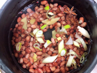 凉拌芹菜花生米,将花生米放入锅中，放入盐、葱姜、花椒大料，倒入水，烧开锅。