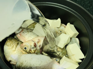 鱼头豆腐煲,倒入适量的清水