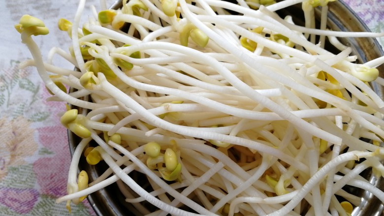 黄豆芽拌海带,黄豆芽摘去坏豆，清水洗干净。