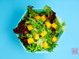 芒果+鲜橙+鸡胸肉=周末的简单午餐,10、在碗中分别铺好蔬菜、芒果粒、鲜橙肉。