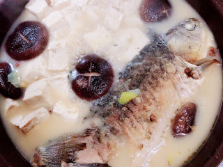 香菇鲫鱼汤,慢炖20分钟，鱼汤浓郁了。