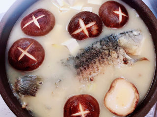香菇鲫鱼汤,小火慢炖到鱼汤发白后，放入豆腐、香菇。