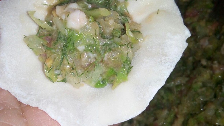 茴香白菜饺子,将茴香白菜馅放在饺子皮中。