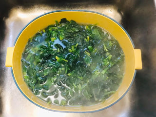 麻酱菠菜,焯水后，捞出来，加入清水浸泡至冷却