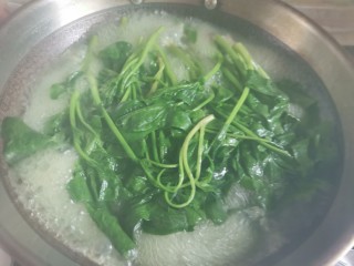 麻酱菠菜,锅中烧开水，加入适量的油和盐，水开下入菠菜焯水2分钟至断生