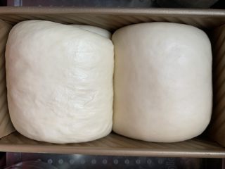 酸奶面包,二次发酵