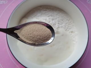 酸奶面包,加入酵母粉