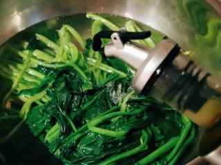 麻酱菠菜,加入几滴食用油。