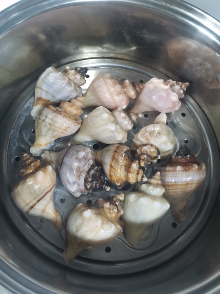 清蒸海螺,放到蒸锅上，水开蒸12分