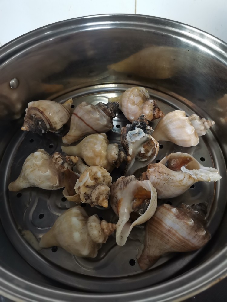海螺的做法 水煮图片