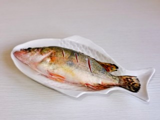 剁椒鲈鱼,桂鱼洗净，两面鱼身上斜切几刀装盘。