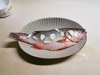 剁椒鲈鱼,将鱼放入盘子里，2瓣蒜切片码放到鱼鱼身上。