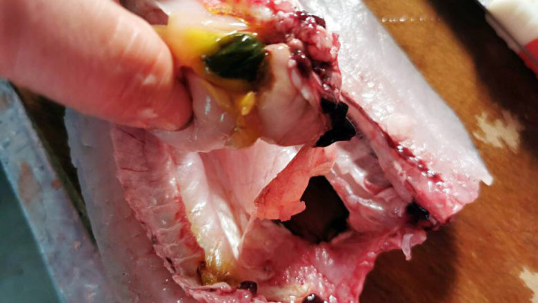 番茄鲈鱼,从鱼背部剖开,取出內脏,小心别弄破鱼胆