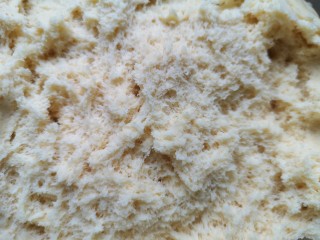 玉米馒头,看一下发酵好的面团，内部呈细密的蜂窝状。