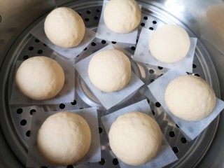 玉米馒头,锅里放水放篦子，馒头生胚垫上油纸，移至篦子上，盖上锅盖二次发酵10分钟左右。