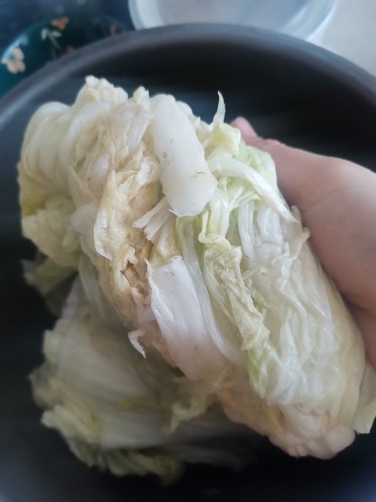 朝鲜辣白菜,白菜用重物压住腌制2天，用清水投洗两次，挤干水份