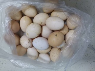 五香茶叶蛋,准备鸡蛋，自家养的鸡蛋下的蛋，虽然大小不一，颜色不一致，但是真的很香