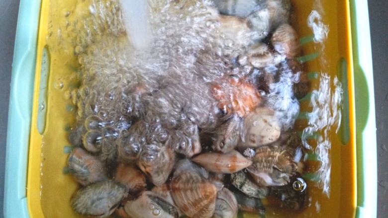葱油花蛤,冲洗干净