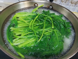 菜团子,锅里烧水，加入适量的盐油，水开下入菠菜焯水至断生