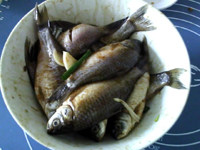 葱烤鲫鱼,抓匀，腌制10-15分钟