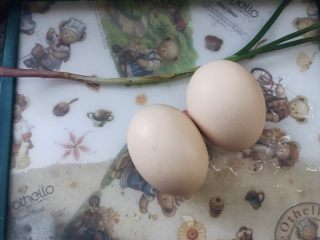 水嫩蒸蛋,准备食材:鸡蛋，小葱