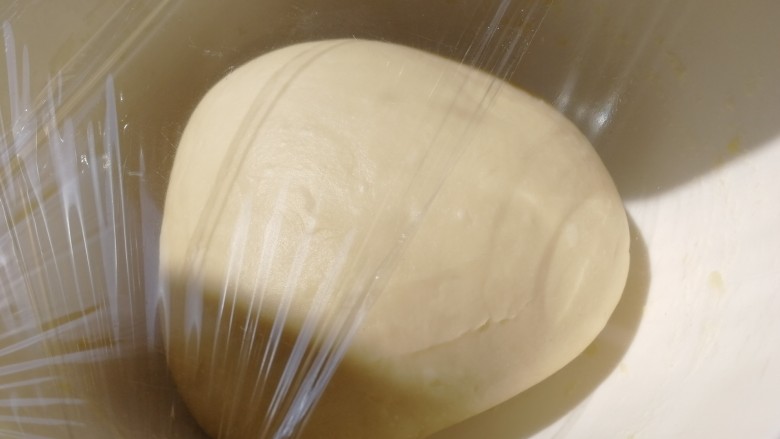 奶香小面包,面团揉圆，密封温暖的地方发酵。
