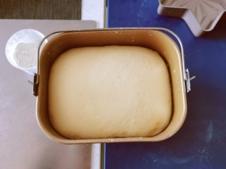 奶香小面包,启动面包机和面–发酵程序，时间到了，面已经发好了。