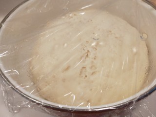 水煎包,面粉加入酵母合成面团发起。