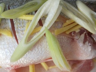 酱焖鲤鱼,加入大葱，料酒，白胡椒，耗油，酱油腌制半小时左右。