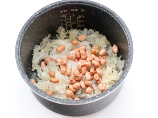 牛奶银耳百合汤,泡发好的银耳撕小朵放入电饭煲的内胆中，放入洗净的花生米。