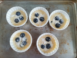 蓝莓酸奶马芬,表面再撒上几颗蓝莓和适量的椰蓉装饰