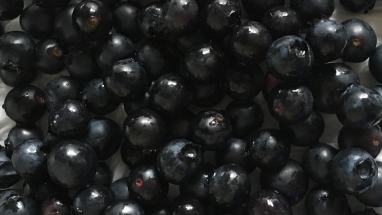 蓝莓酸奶马芬,用手轻柔的搓洗蓝莓，这个时候蓝莓表面的白霜和污垢就清洗干净了。用厨房用纸擦干水分备用