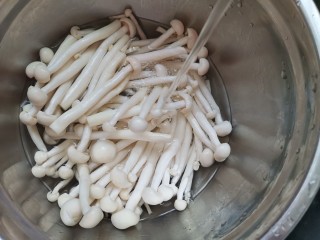 酥炸蘑菇,海鲜菇切去根部清洗干净，