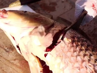 红烧草鱼块,在把鱼头剁开。