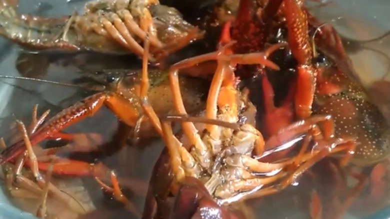 干煸小龙虾,龙虾买回在清水中清养一天
