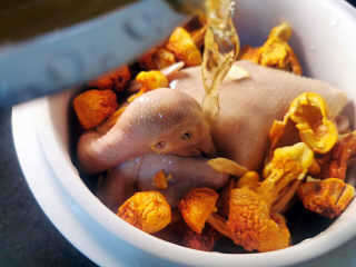 桃胶姬松茸炖鸽子,浸泡过姬松茸的水
