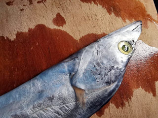 蘸酱带鱼,漂亮的眼睛，表示它的鲜度
