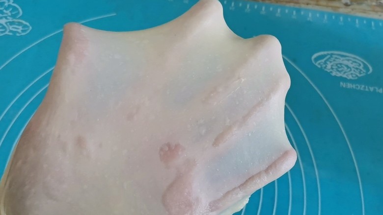 酸奶珍珠小面包,揉面36分钟后，能拉出手套膜，薄而透明有韧性，破洞无锯齿
