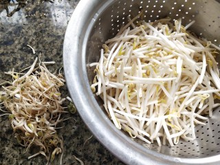 豆芽炒肉丝,花点功夫摘去豆芽底部的根。