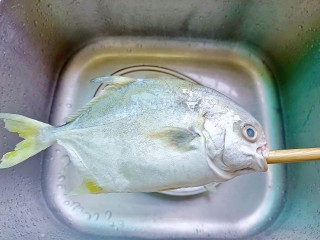 盐焗烤鱼,筷子从两边鱼鳃直接插进鱼肚，轻轻转动筷子，就可以把内脏拉出来，再用清水清洗干净。