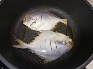 盐焗烤鱼,平底锅倒适量的食用油烧热，放入腌制好的鲳鱼。 