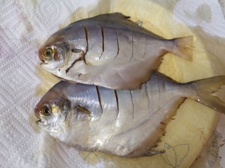 盐焗烤鱼,腌制好的鲳鱼取出，放在厨房用纸上面吸一下多余的水分。 