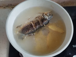 鲫鱼豆腐菇菌汤,加入姜片和一壶开水