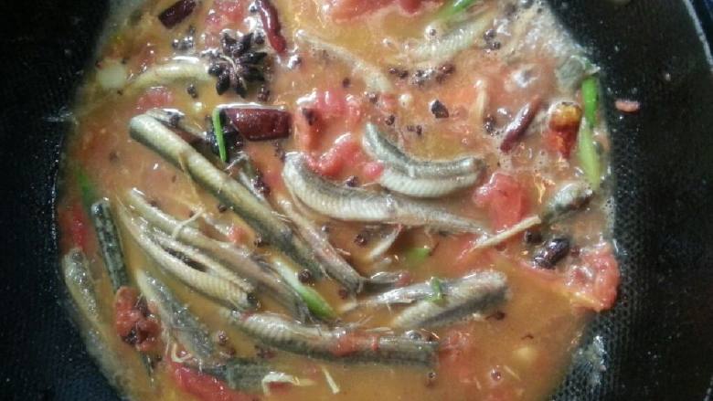 西红柿炖泥鳅,加汤文火慢炖十分钟。
