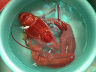 奶油芝士焗龙虾,煮熟后捞出龙虾放入冰水中过凉备用