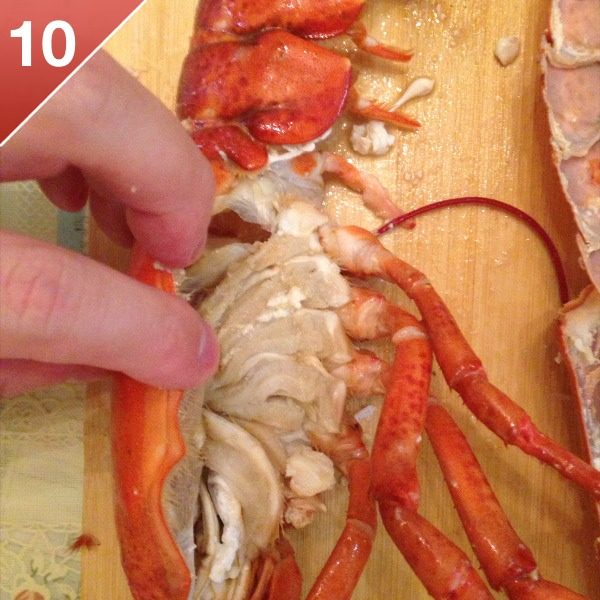 奶油芝士焗龙虾,注意龙虾头和连接着脚部分的腮也要清洗掉