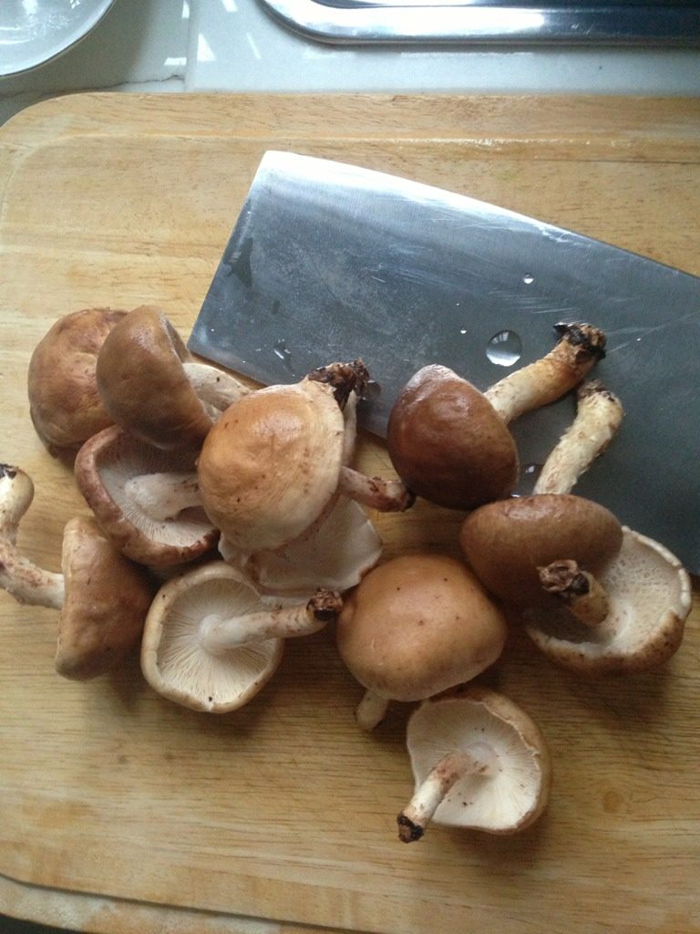 酿鲜菇蒸腐皮丝,如图将香菇洗净备用。