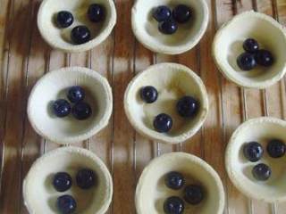 蓝莓蛋挞,蛋挞皮放在烤网上，分别放入适量的蓝莓;