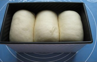 北海道吐司,将卷好的面团放入土司盒内，吐司盒放置温暖处进行二次发酵，发酵至模具的九分满