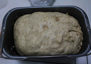 全麦豆沙小餐包 ,第一次发酵